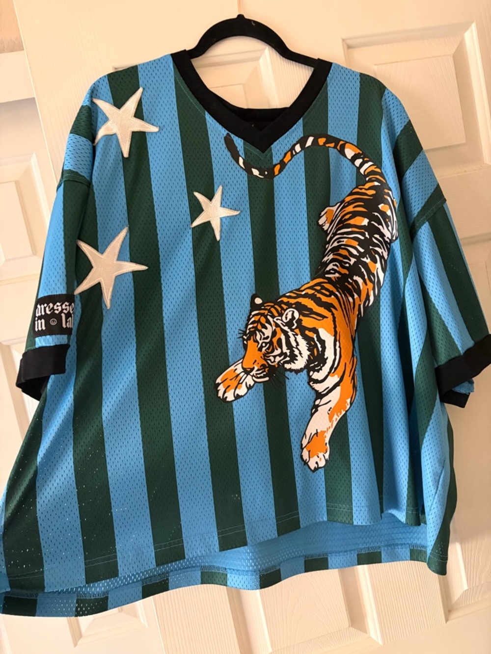 Dressed in LALA Blue & Green Striped Tiger Graphic Jersey